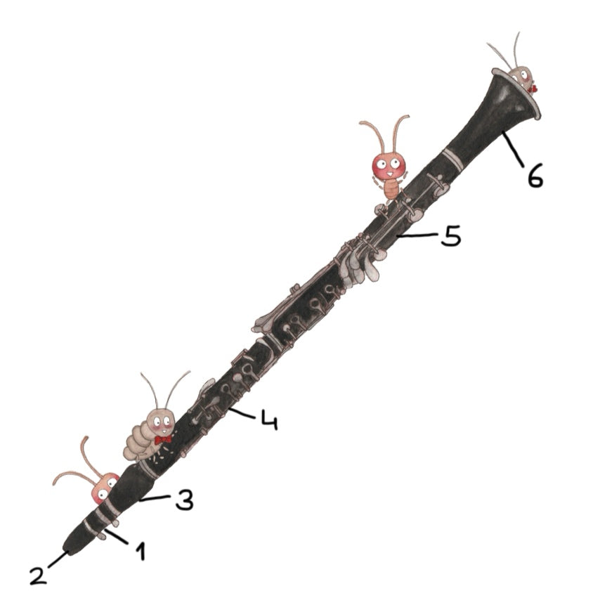 Kinderbuch "Bert und die Bigband" (Bert die Schabe: Teil 2)